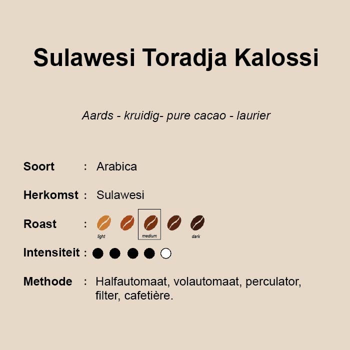 Sulawesi Toradja Kalossi Sulawesi-Kalossi