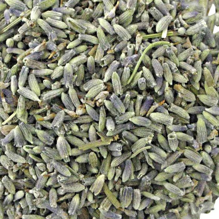 Lavendel